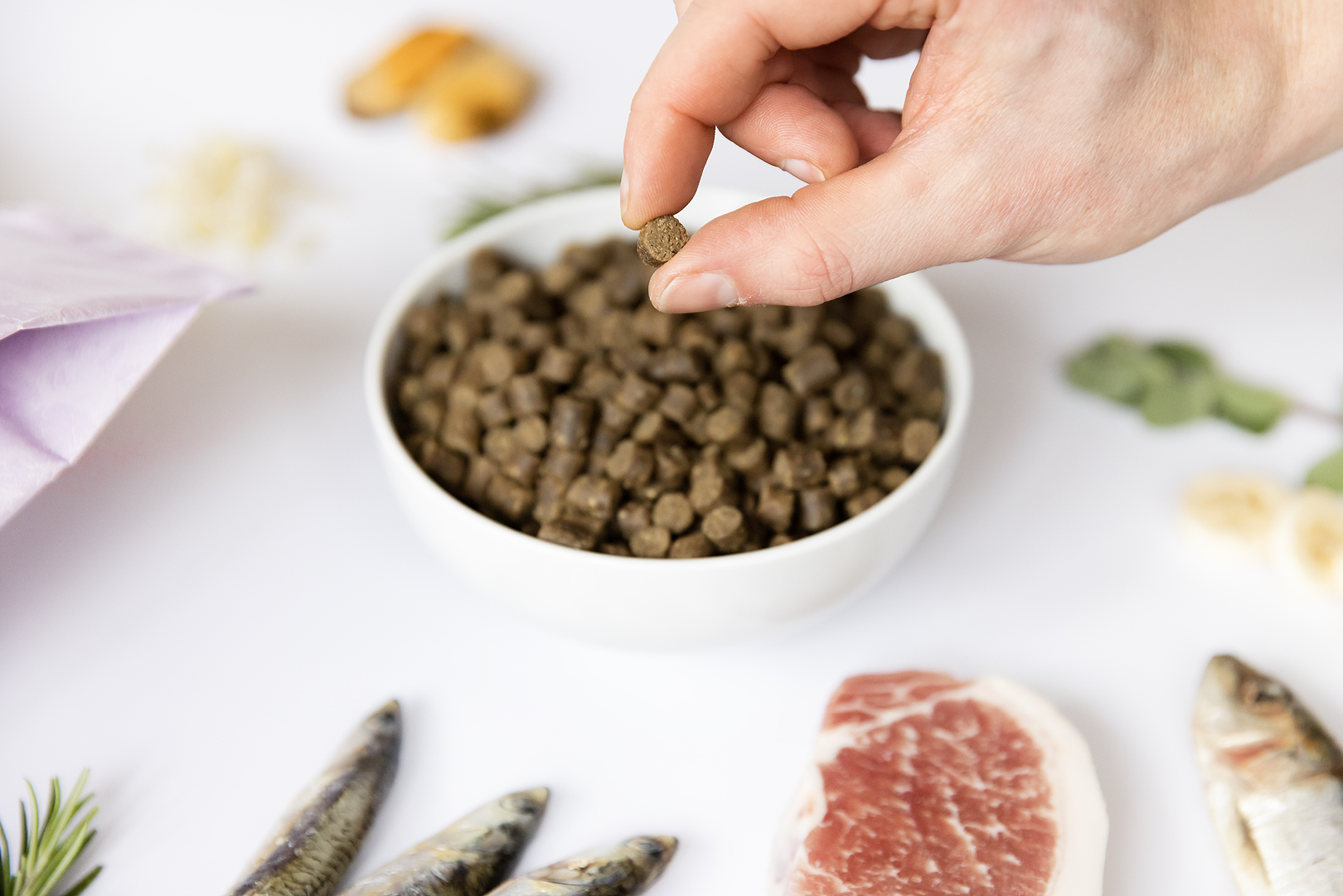 YDOLO Healthy & Pure kutsikatele - Image 2