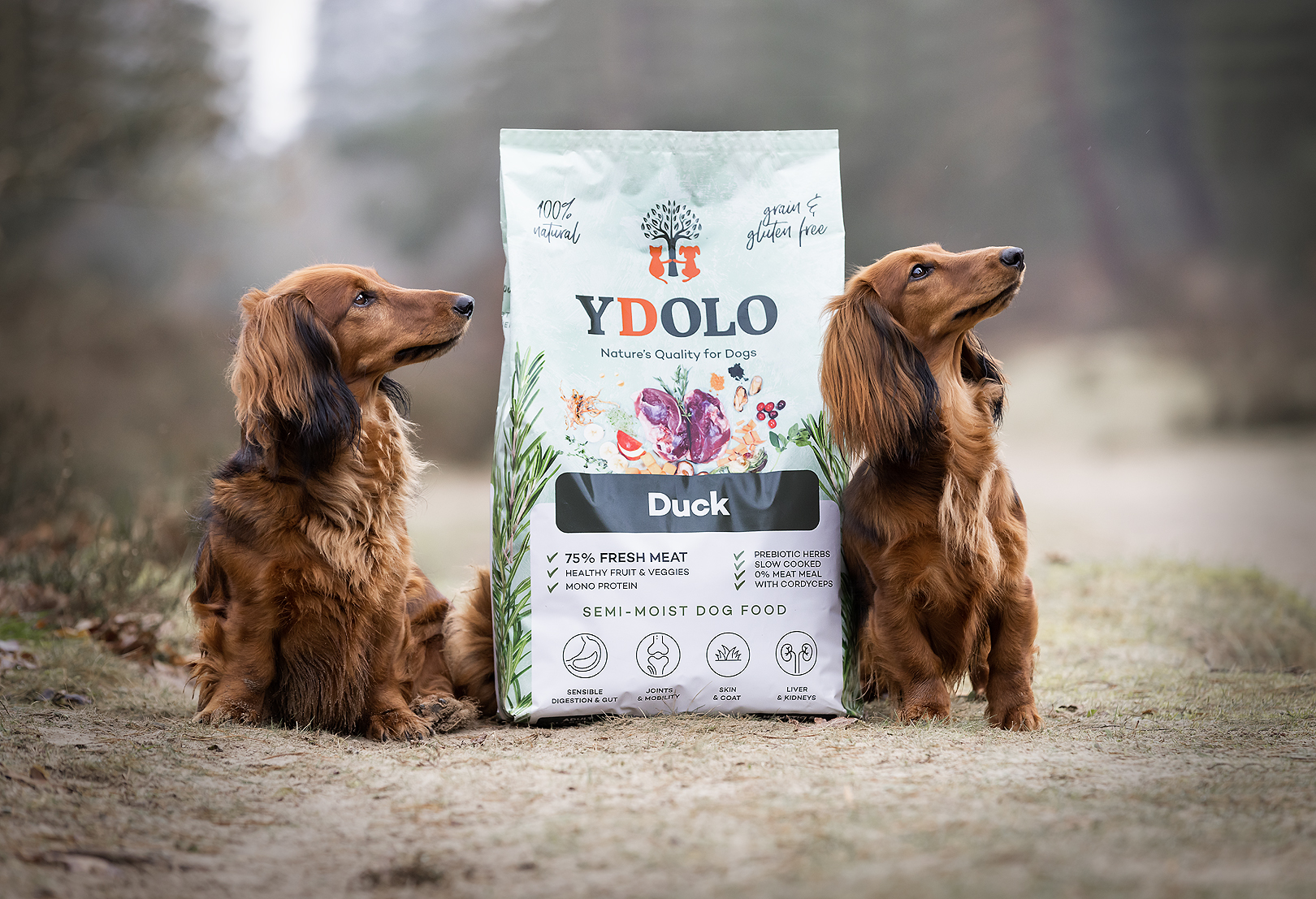 YDOLO Healthy & Pure pardilihaga- Monoproteiin - Image 3