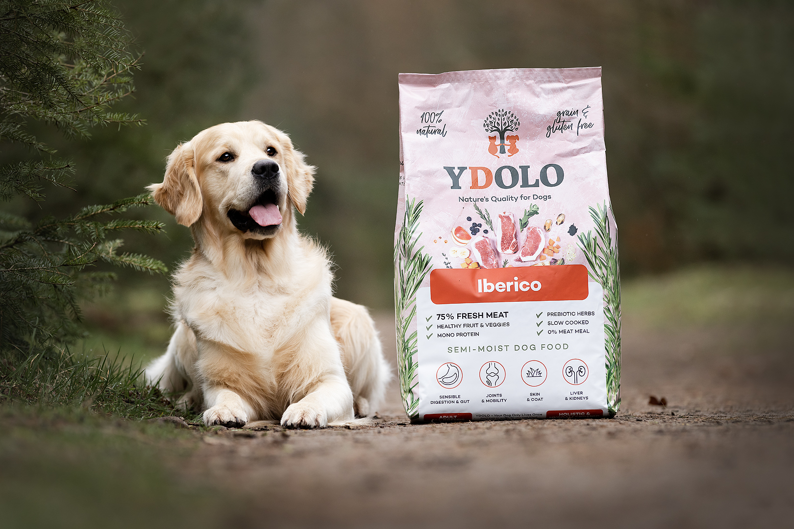 YDOLO Healthy & Pure Ibeeria sealihaga- Monoproteiin - Image 3