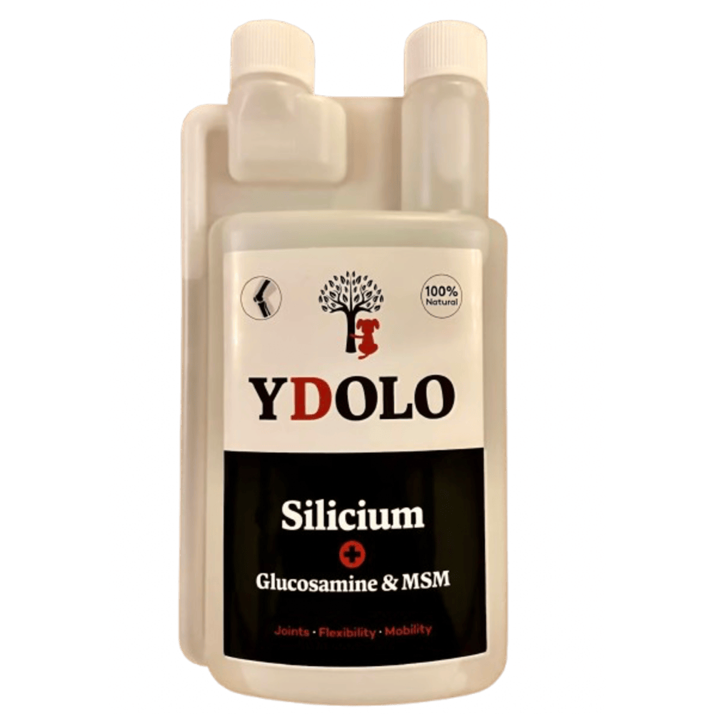 YDOLO Liigestele (SILICIUM + Glükoosamiin & MSM) 1L