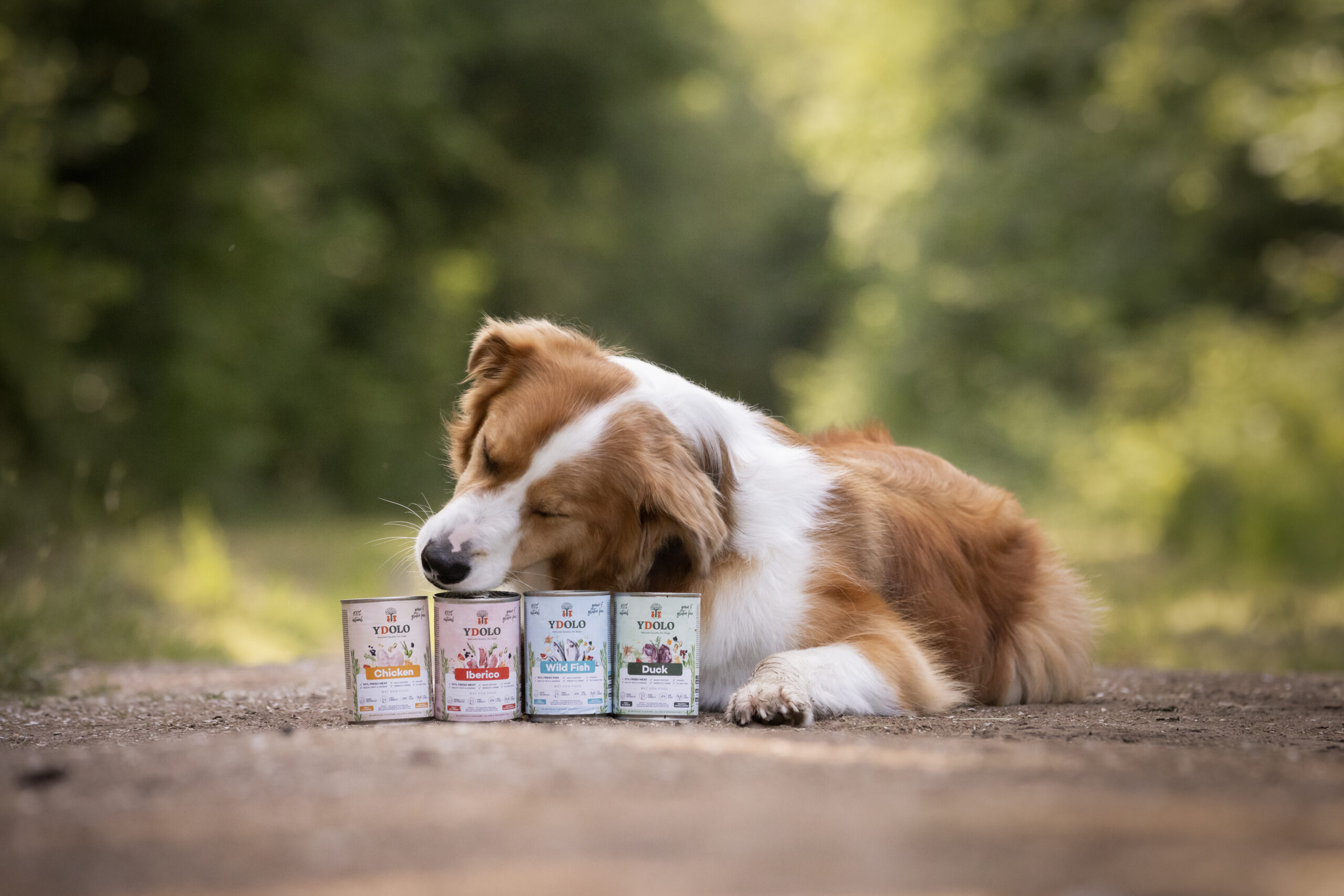 YDOLO konserv Ibeeria sealihaga 400g - Image 4