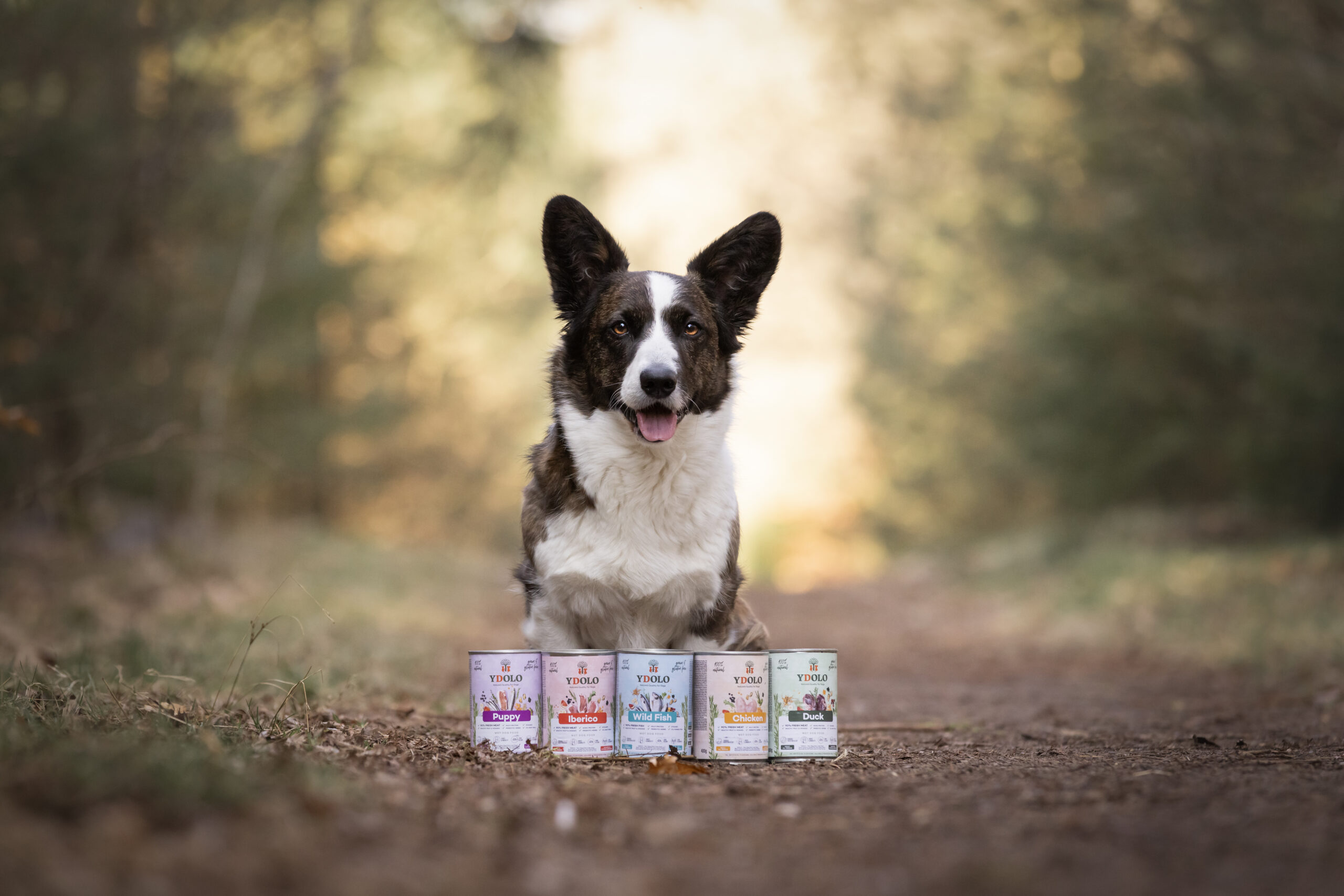 YDOLO konserv pardilihaga 400g - Image 3